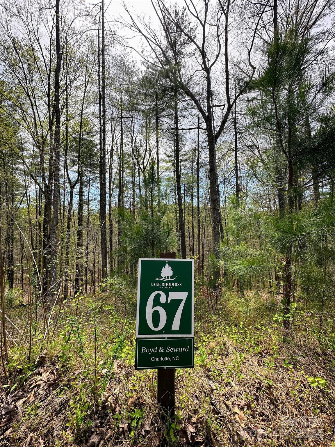 Image 4 Image 4