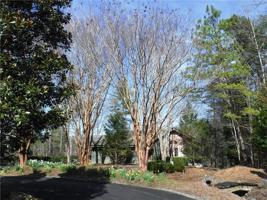 110 Spruce Pine Lane
