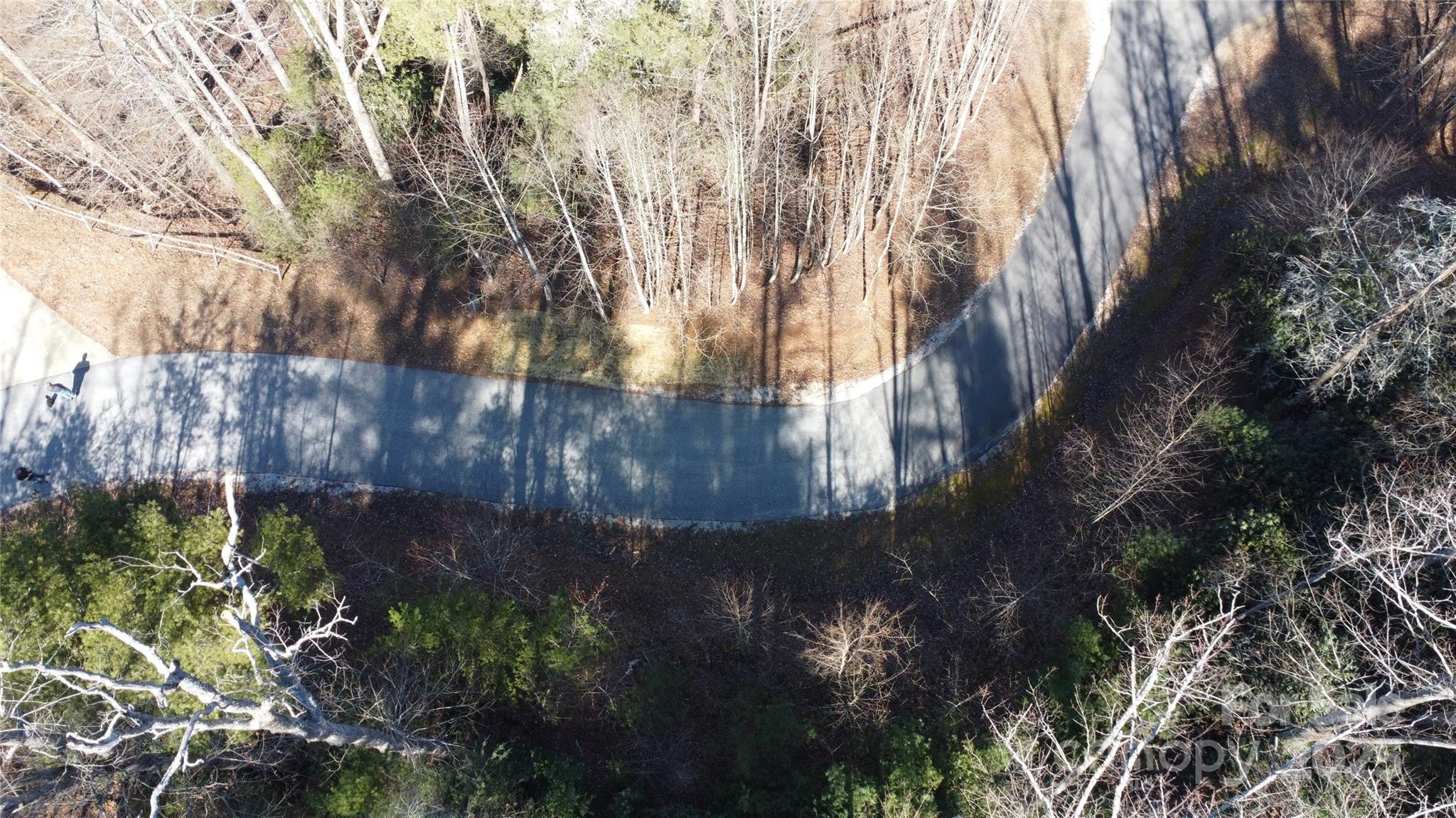 Image 4 Image 4