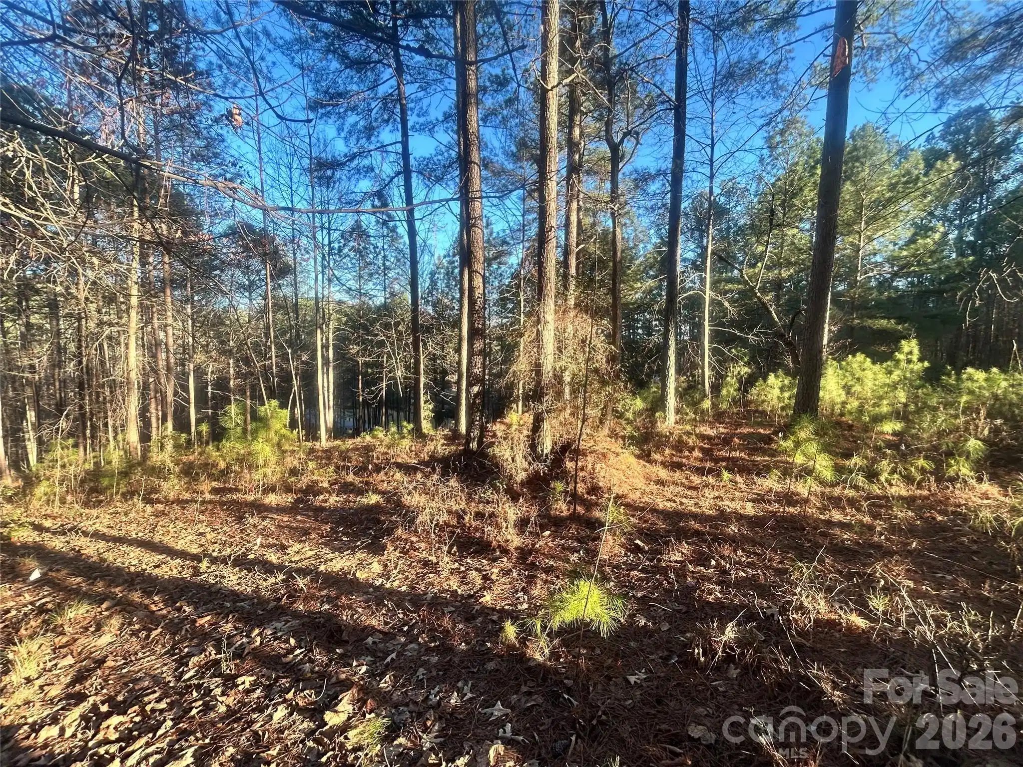 Image 1 Image 1