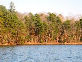 Lot 2 00 Crain Court 