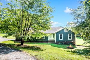 205 Horseshoe