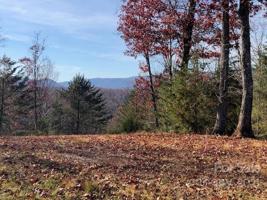 Lot 50 Mountain