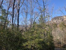 0000 Bald Hill