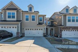 541 Dulaney