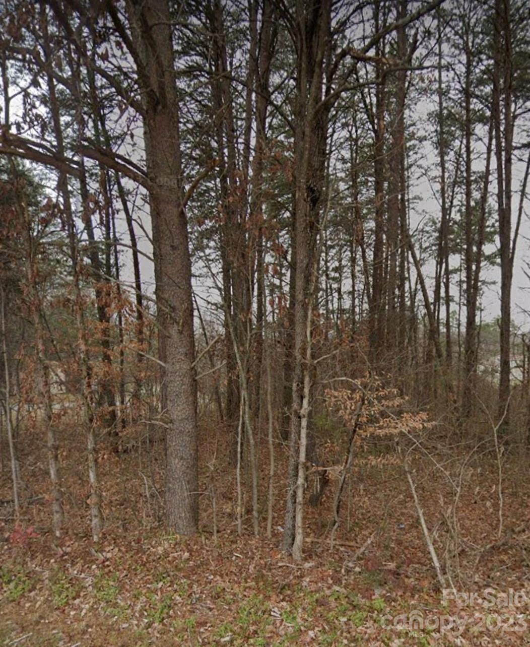 2336 Buffalo Shoals Road, Statesville, NC lhrmls01738025