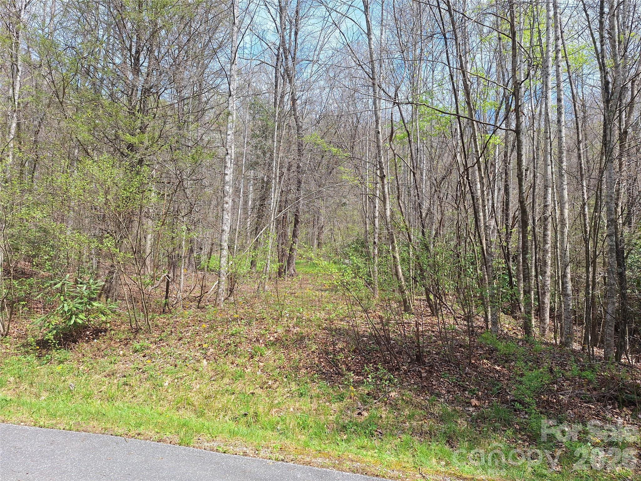 Image 3 Image 3