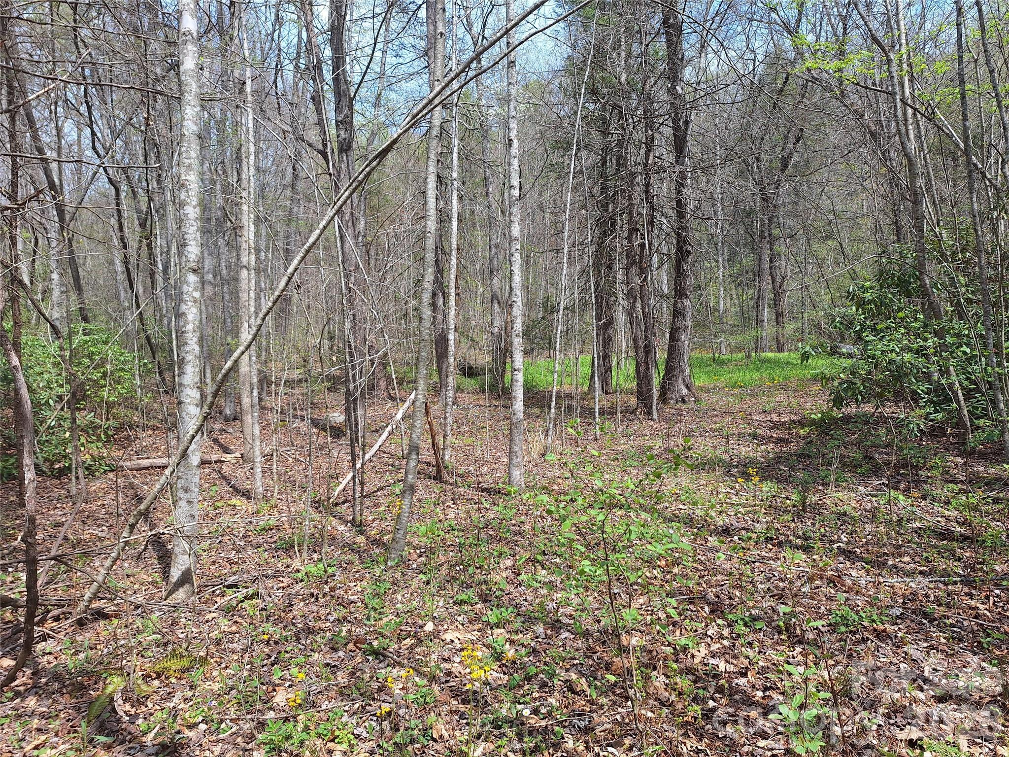 Image 4 Image 4