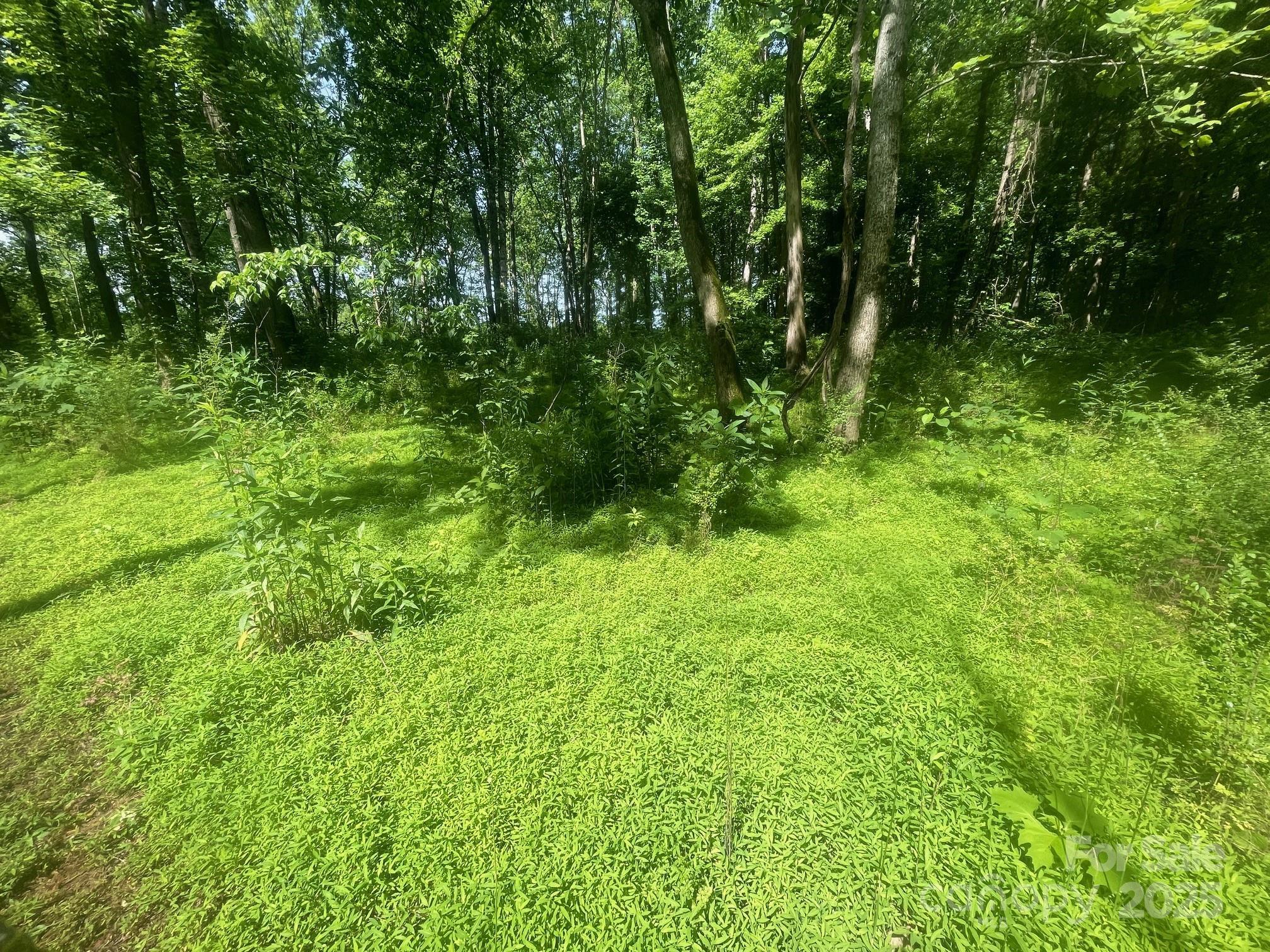 Image 4 Image 4