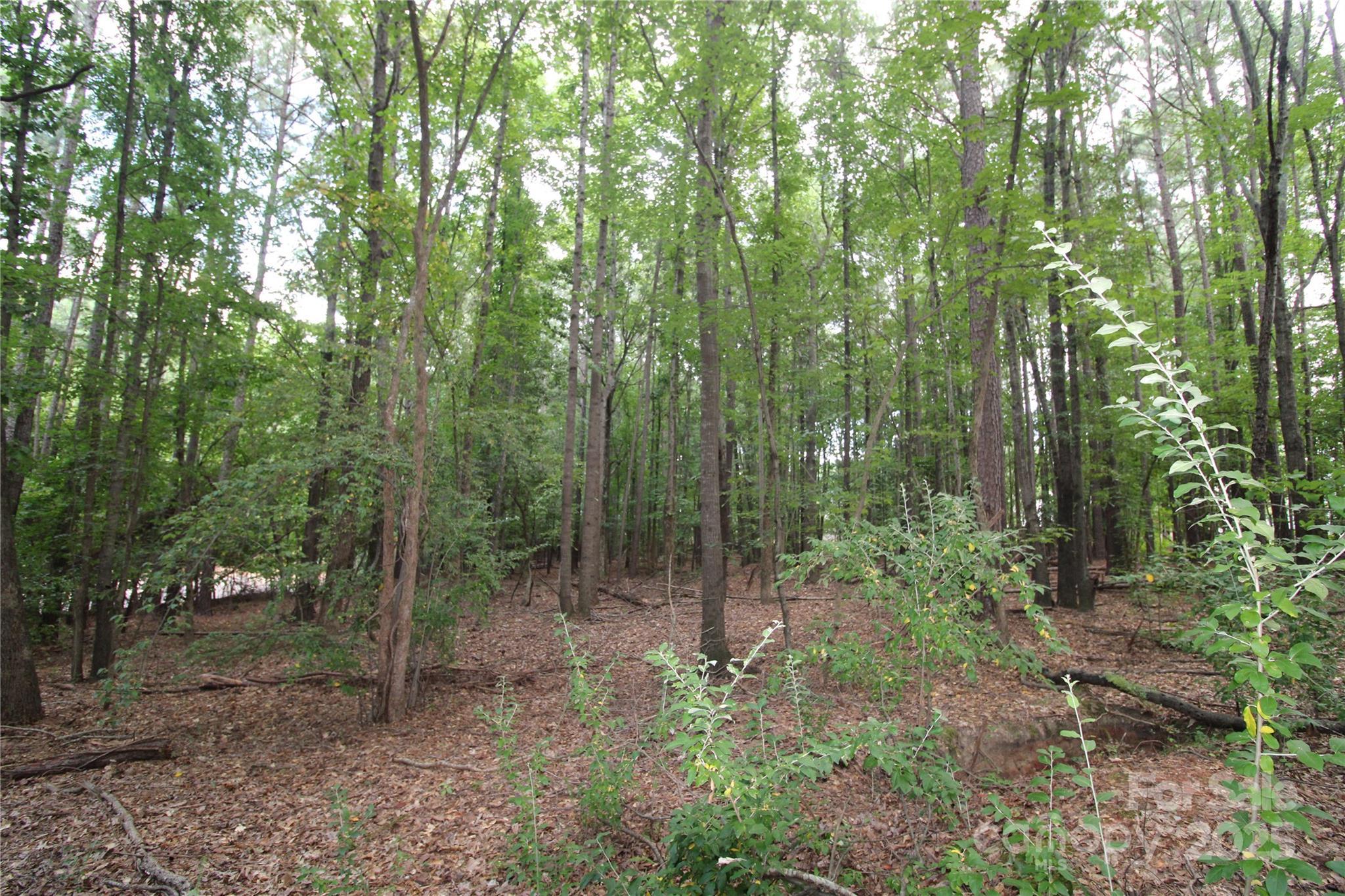 Image 3 Image 3