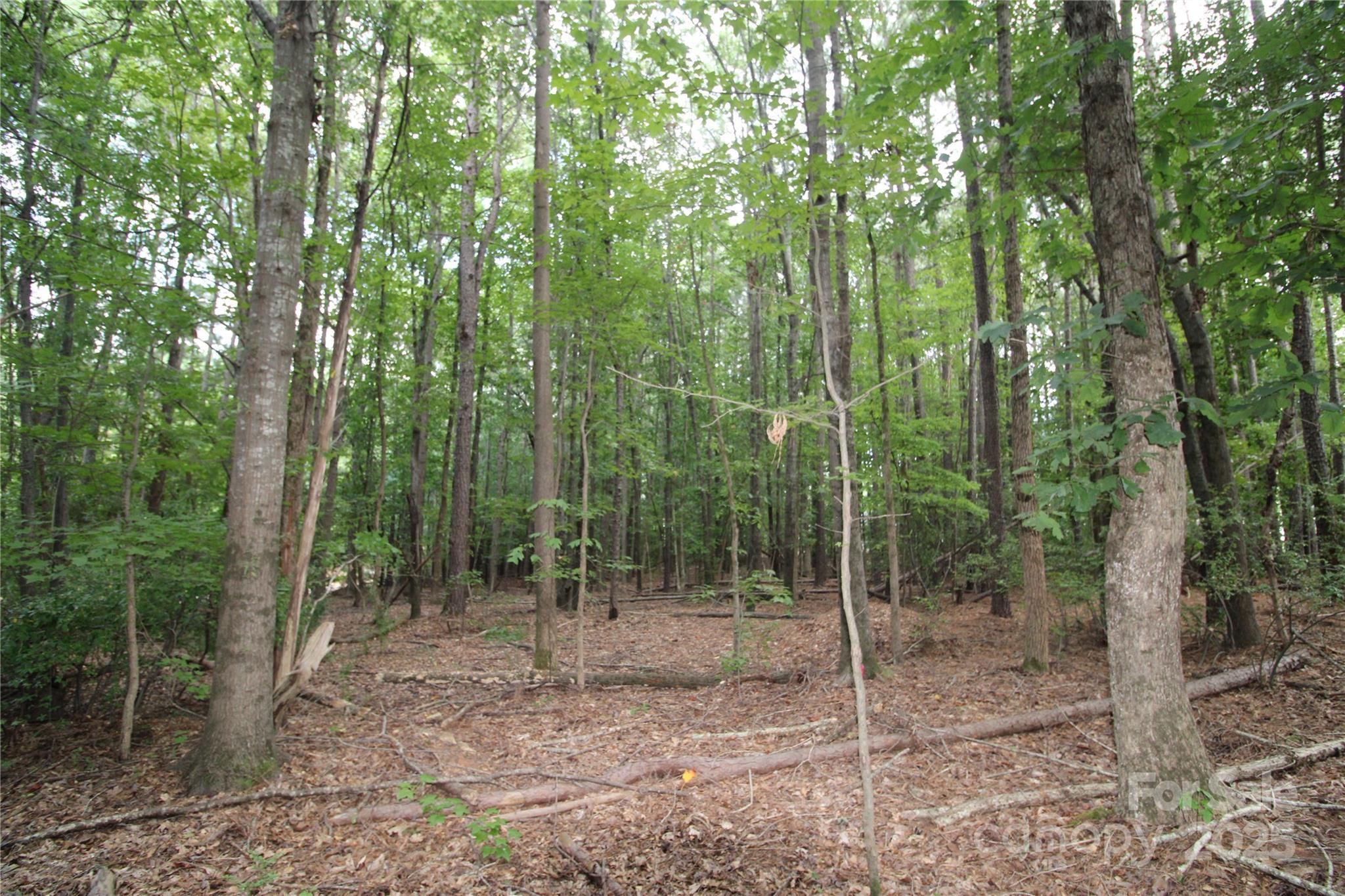 Image 4 Image 4