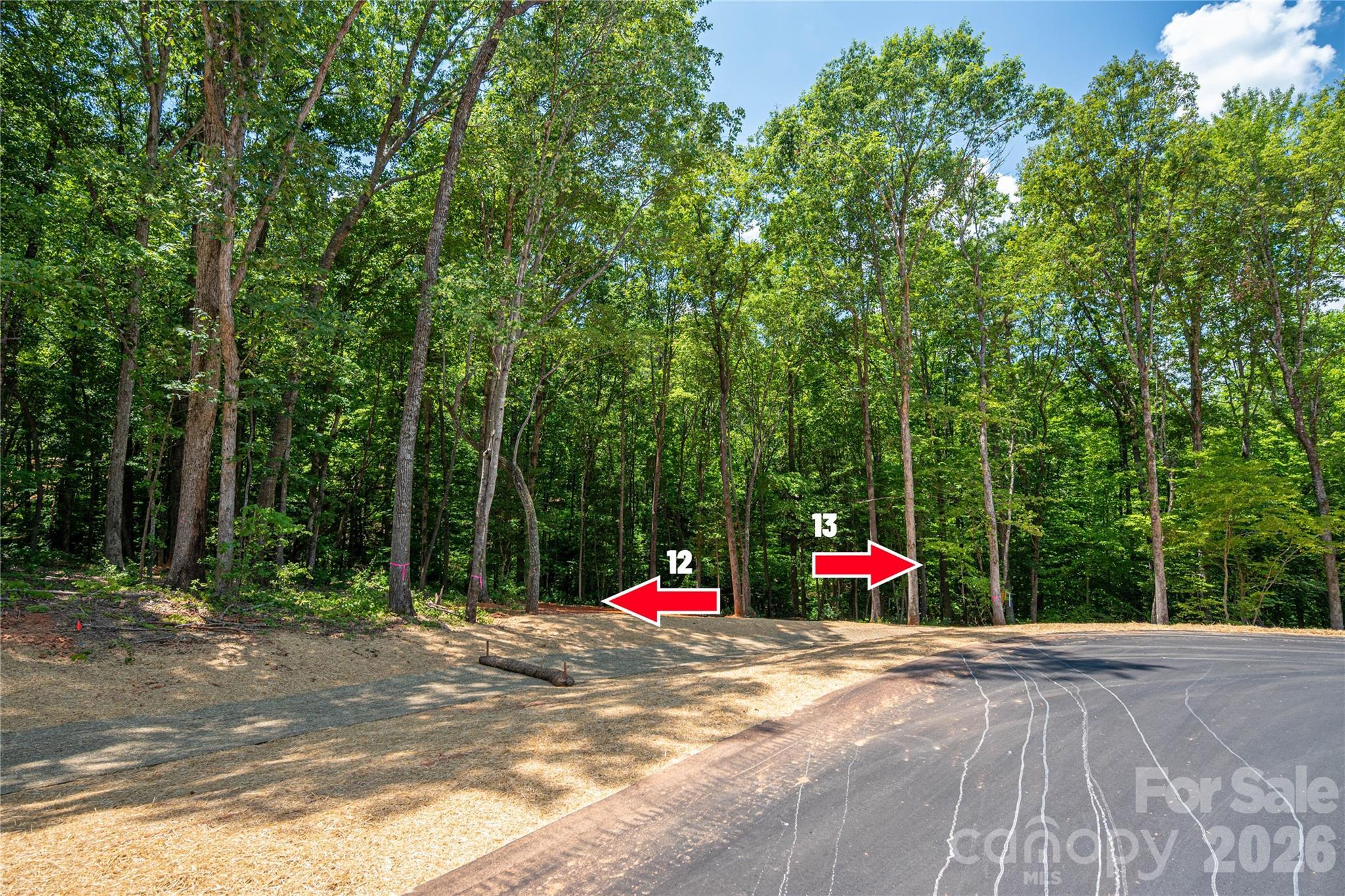 Image 4 Image 4