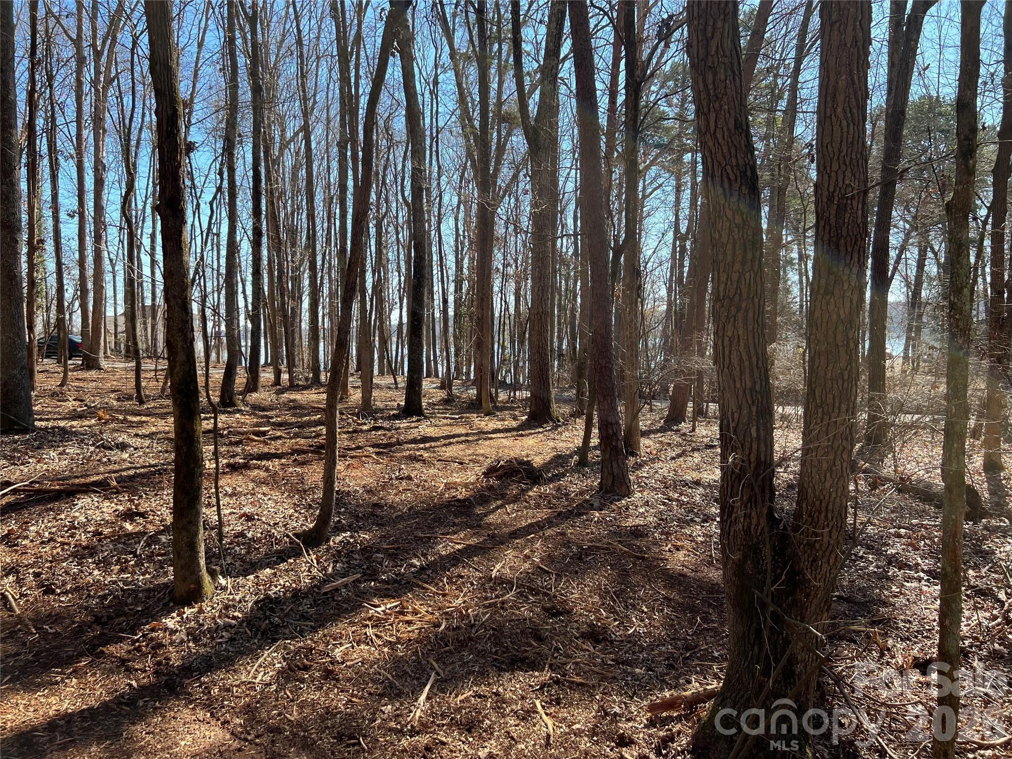 Image 4 Image 4