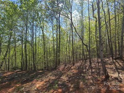 Lot 20 Touch Me Not Trail