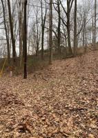 L Hickory Hill