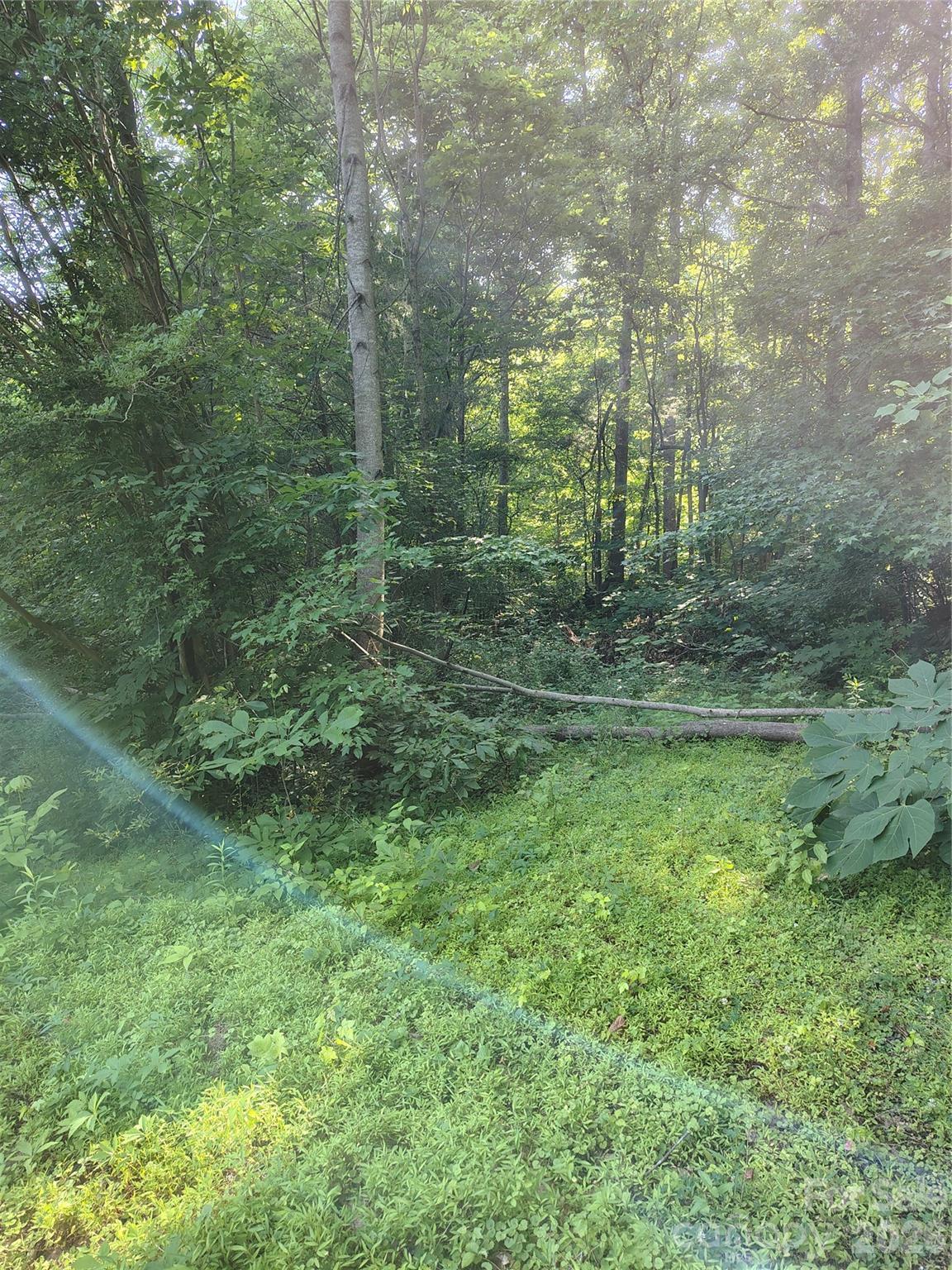 Image 3 Image 3