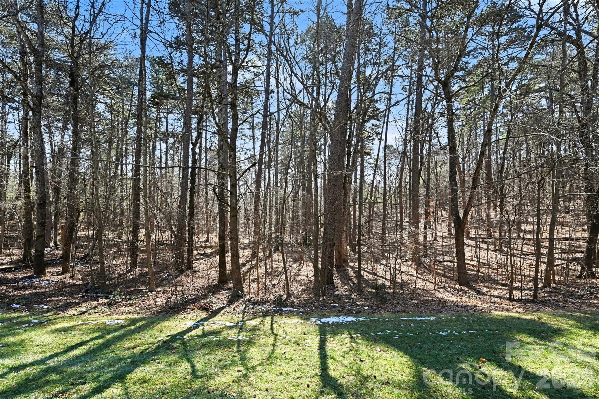 Image 3 Image 3