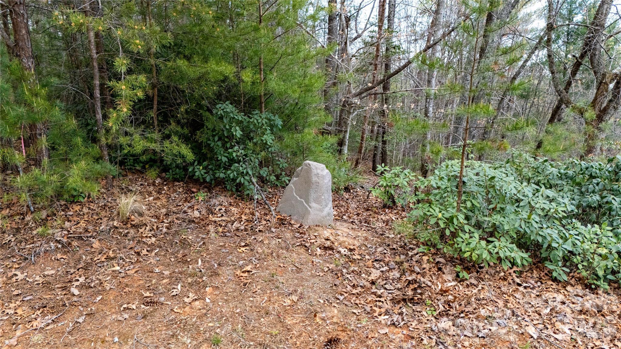 Image 3 Image 3