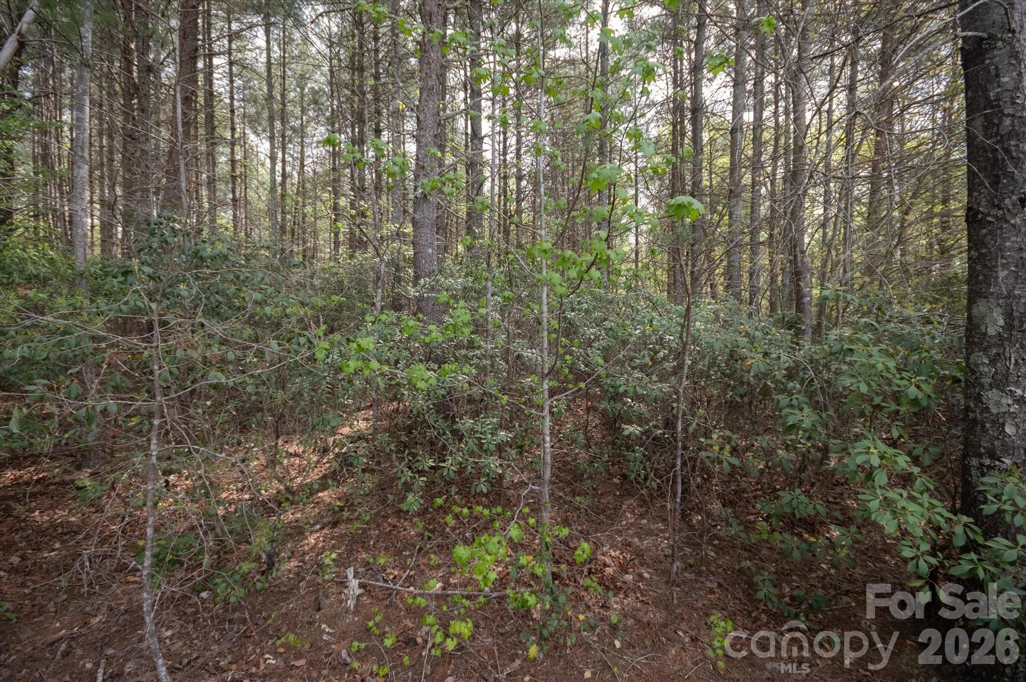 Image 4 Image 4