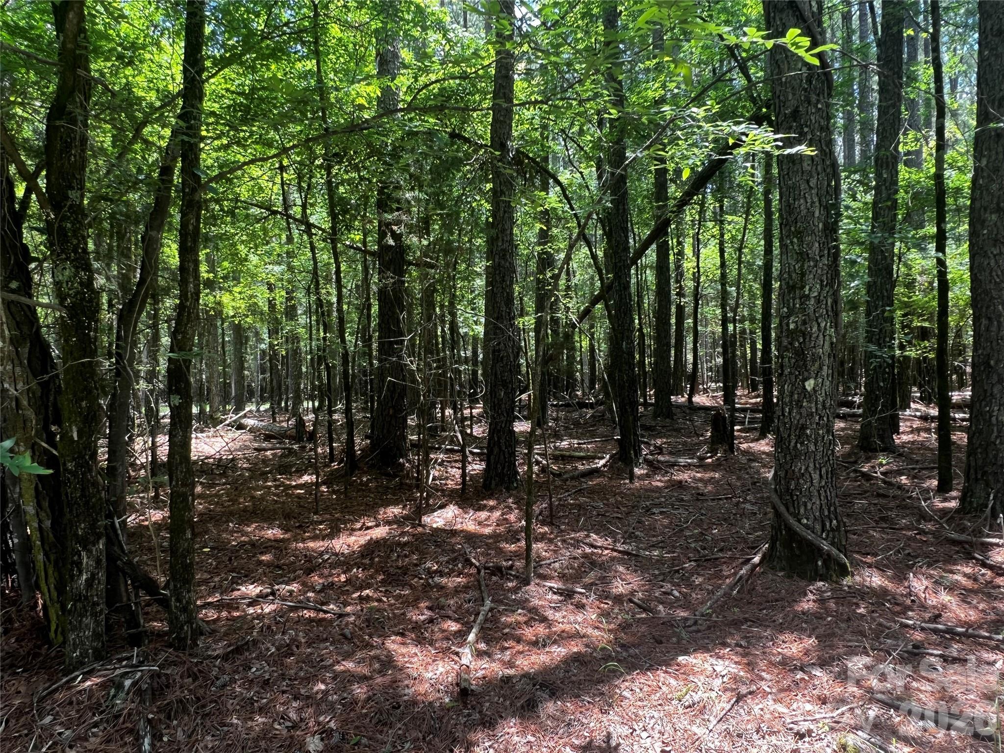 Image 3 Image 3
