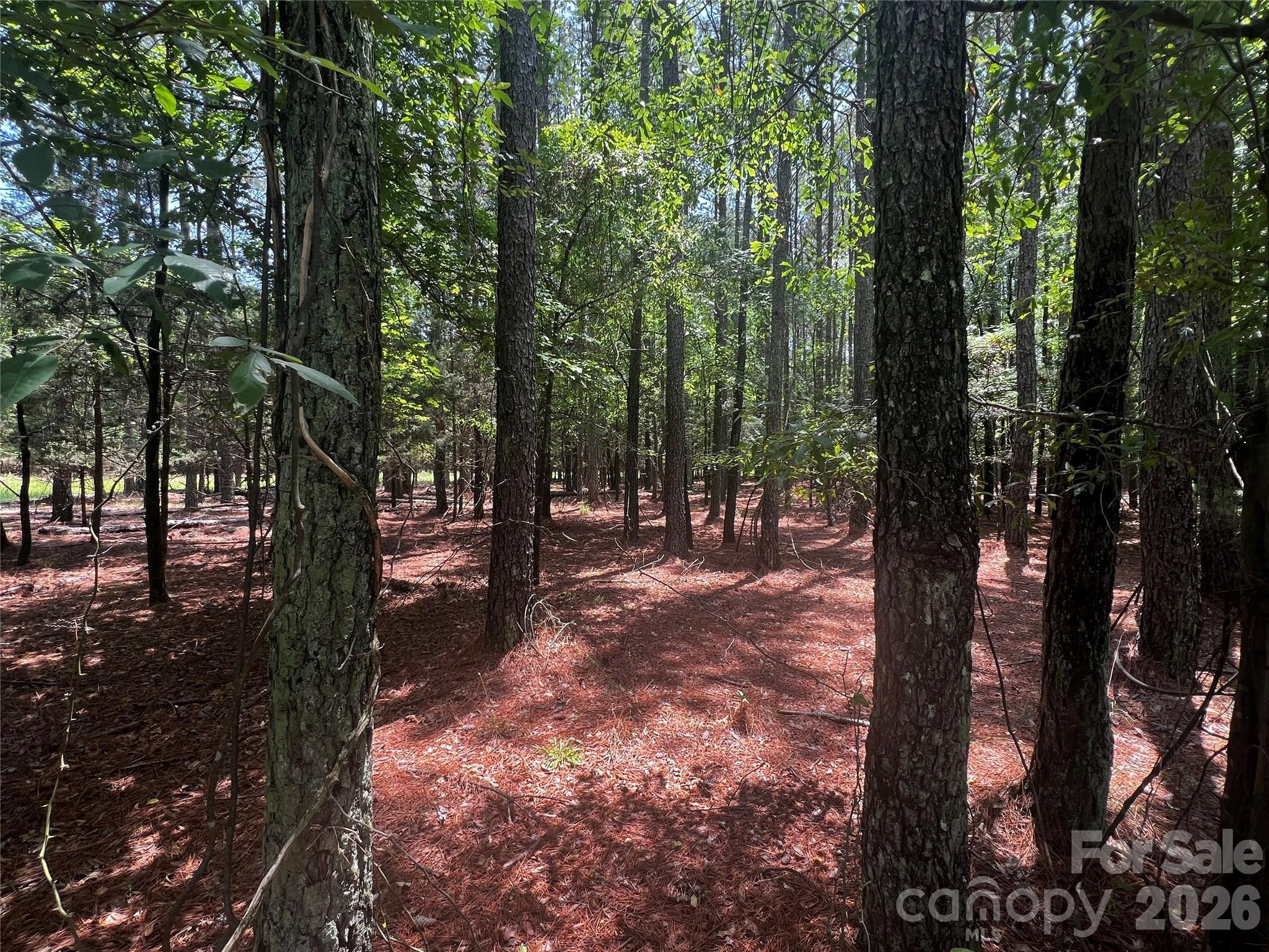 Image 4 Image 4