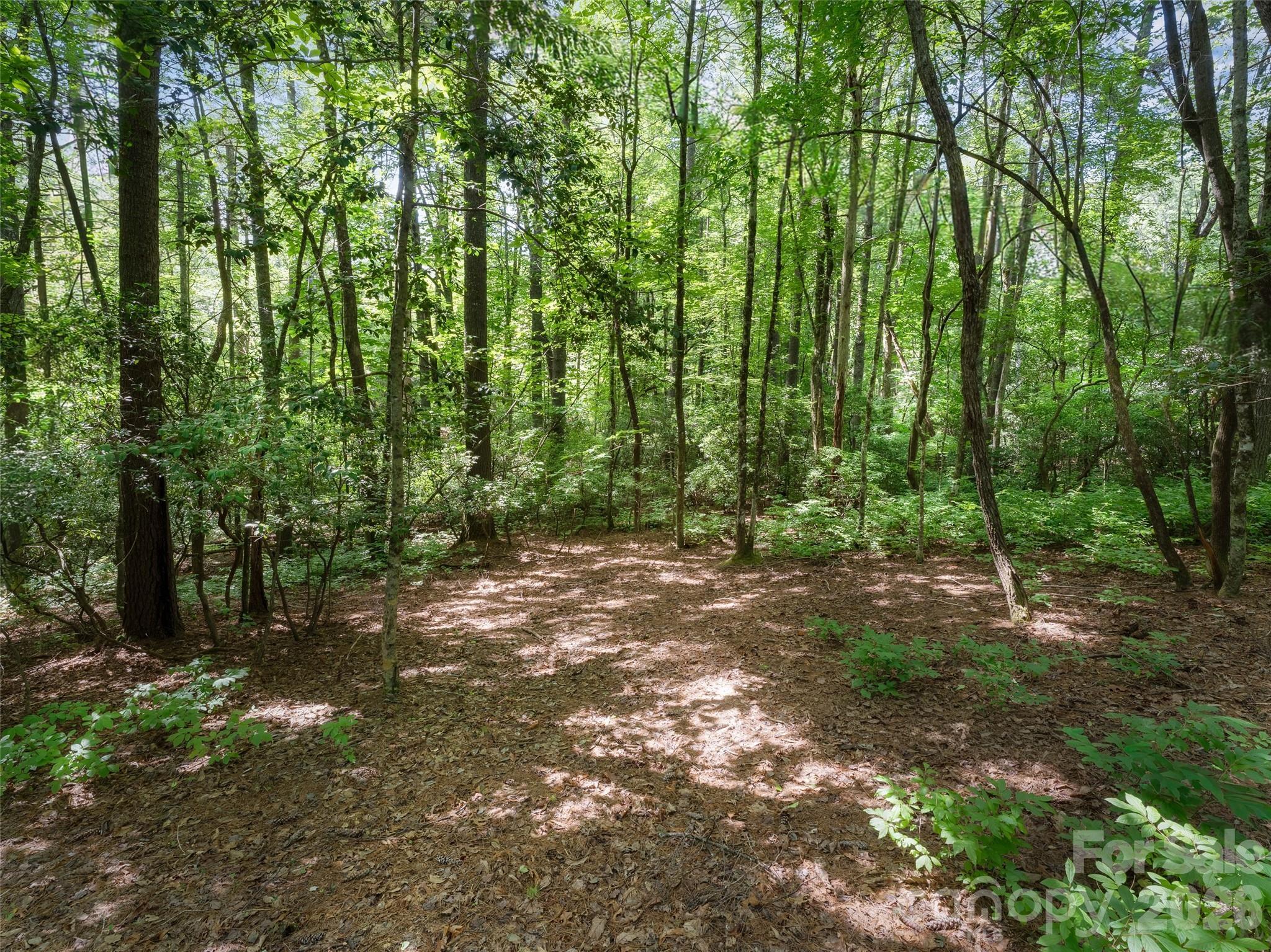 Image 4 Image 4