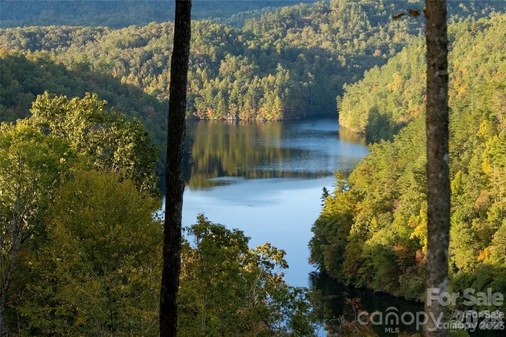 Image 4 Image 4