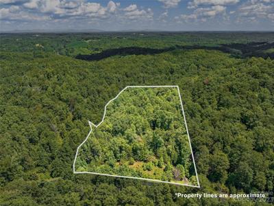 LOT 35 Mountain Parkway