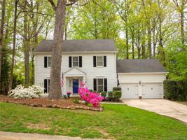 1136 Long Paw Lane