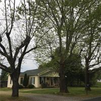 1399 Cape Hickory Road