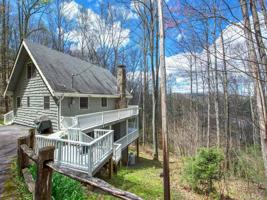 583 Woods Mountain Trail