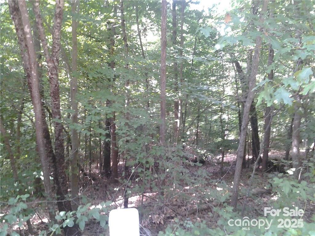 Image 4 Image 4