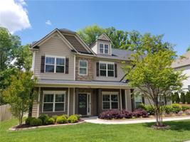 11733 Morgan Horse Trail