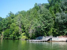 10 Buffalo Shoals