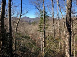 11 Shepherds Gap