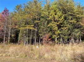Lot 7 Ridge Point