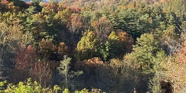 999 Old Spring Road