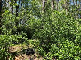 0 Cape Hickory Road