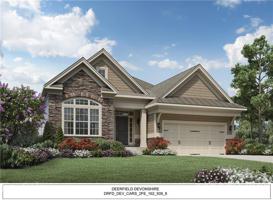 82216 Standing Oak