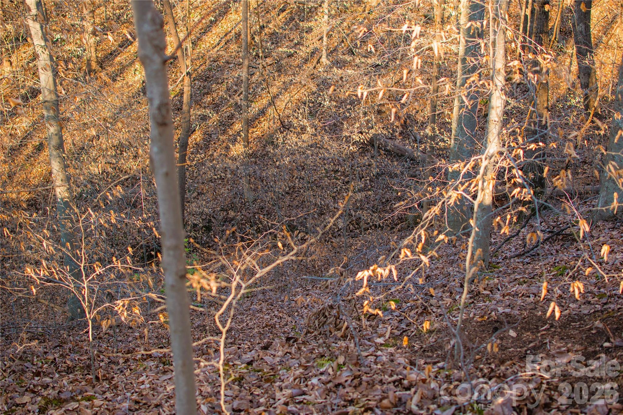 Image 3 Image 3