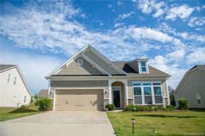 1133 Black Walnut Road