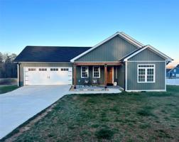 88 Pine Tree