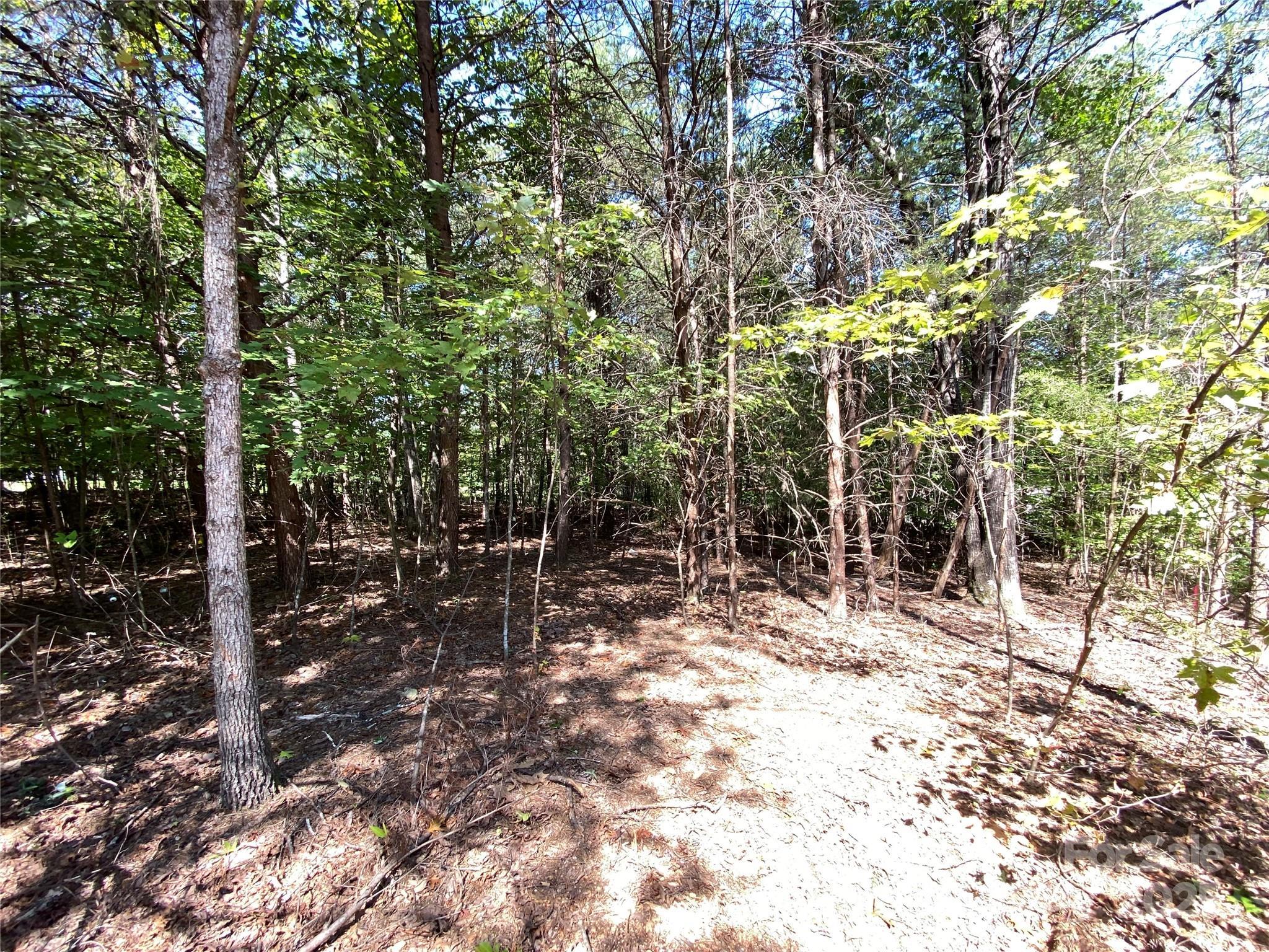 Image 3 Image 3