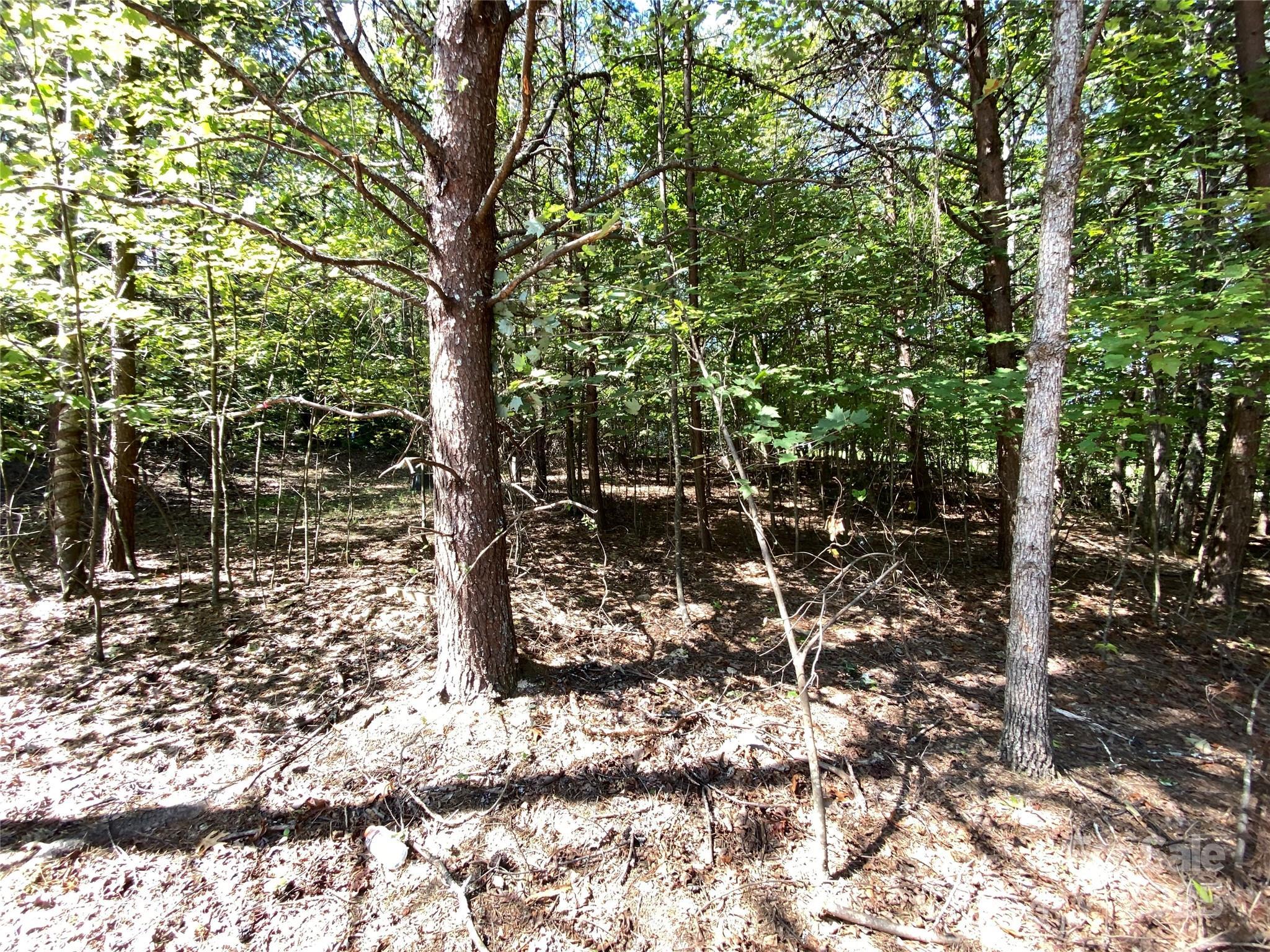 Image 4 Image 4