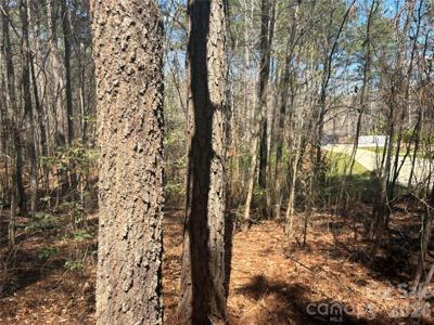 1403 Ron Whicker Drive