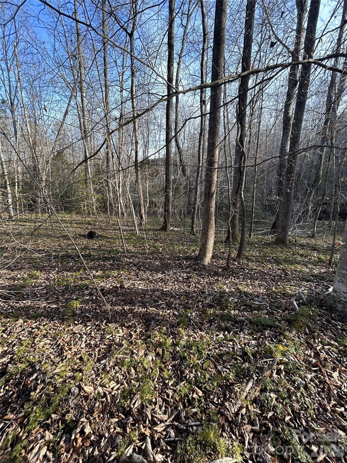 Image 3 Image 3
