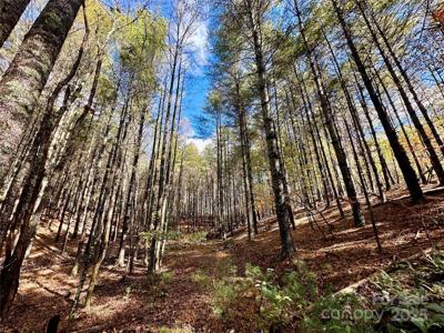 146 Bream Flats Drive