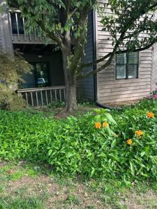 4134 Charlotte Highway