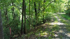 0 Falls View Trail
