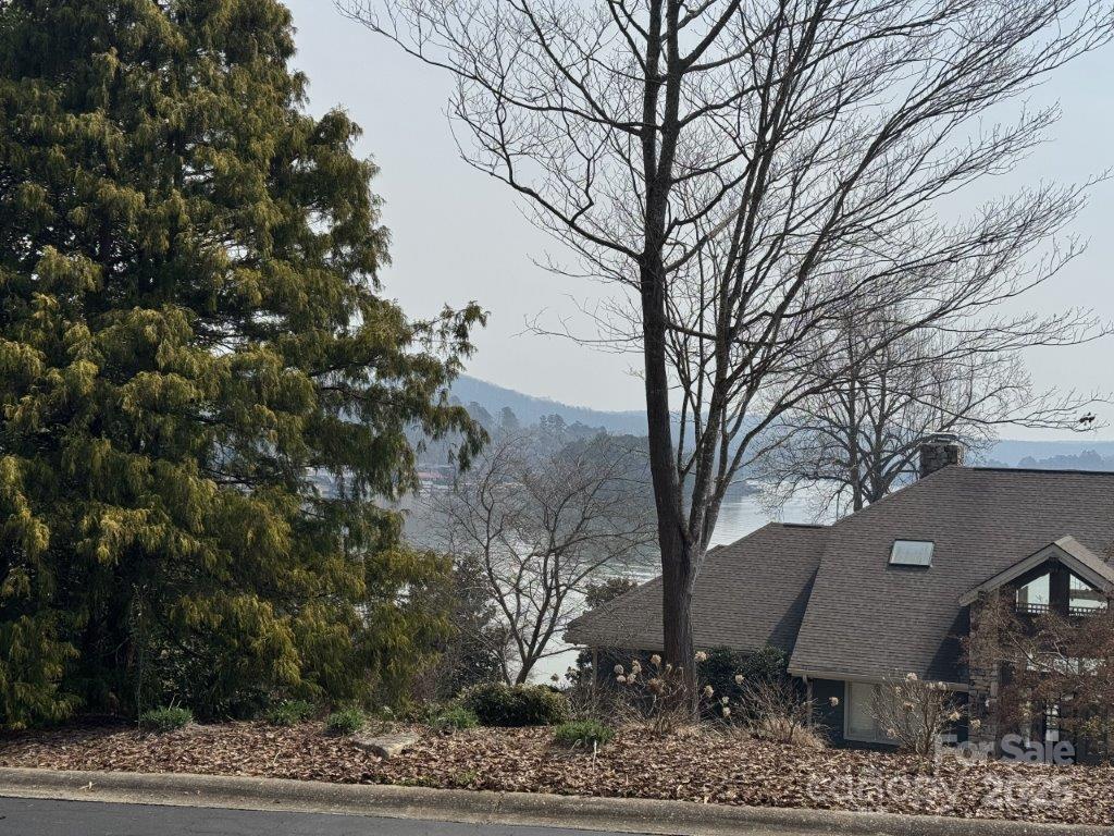 Image 1 Image 1